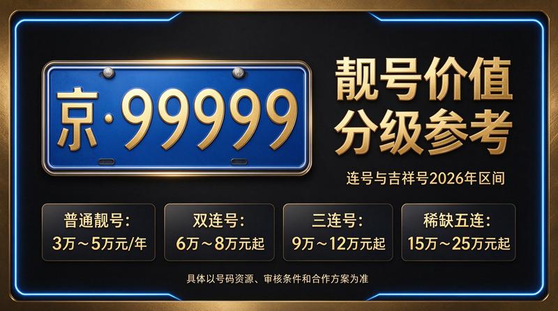 闲置车牌指标办理流程展示